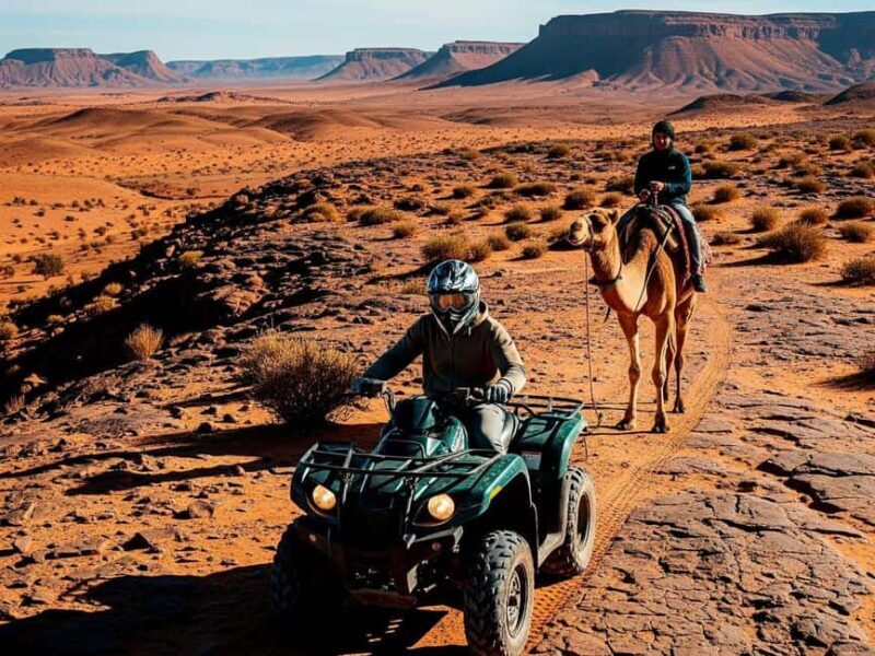 Marrakech: Agafay Desert Quad Biking Tour with Dinner-Show - Who Should Consider This Tour?
