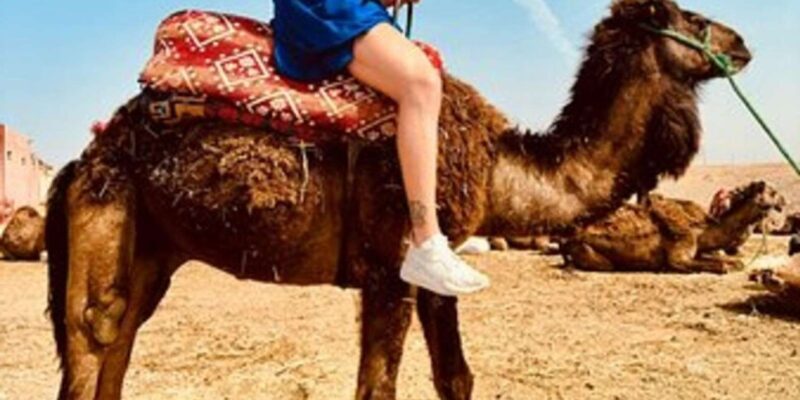 Marrakech: Agafay Desert Quad Biking with Dinner Show - Authentic Reviews & Experiences