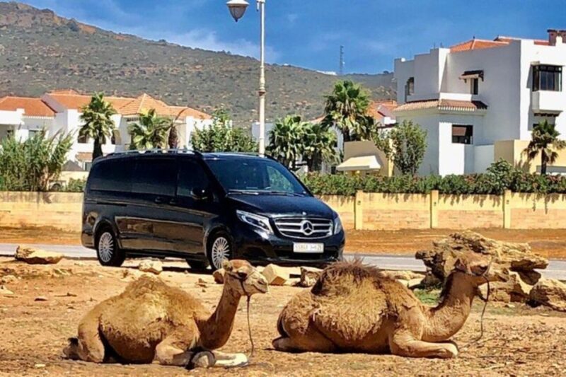 Marrakech: Agafay Desert Quad Camel Rides, Pool, Dinner Show - Final Thoughts