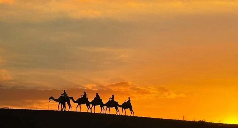 Marrakech: Agafay Desert Quad & Camel Rides with Dinner Show - Exploring the Marrakech: Agafay Desert Experience in Detail  