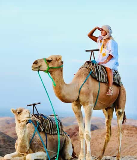 Marrakech: Agafay Desert Quad & Camel Rides with Dinner Show - FAQ