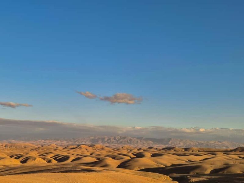 Marrakech: Agafay Desert Quad Tour with Dinner & Show - What Is the Marrakech Agafay Desert Quad Tour?