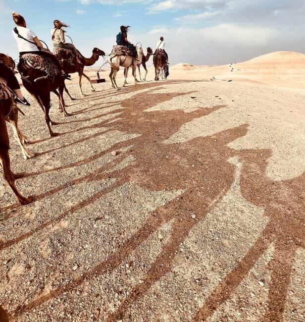 Marrakech: Agafay Desert Sunset, Camel Ride, Dinner and Show - What Could Be Better