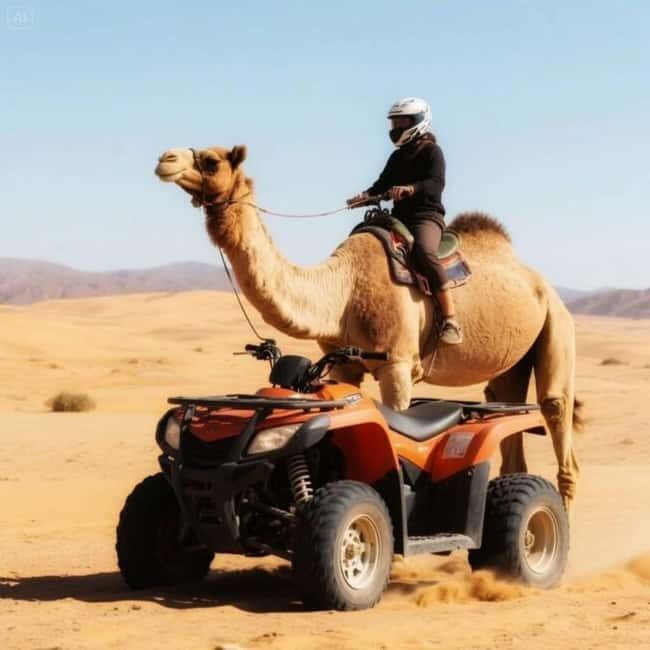 Marrakech: Agafay Desert Trip with Activities and Dinner - Key Points
