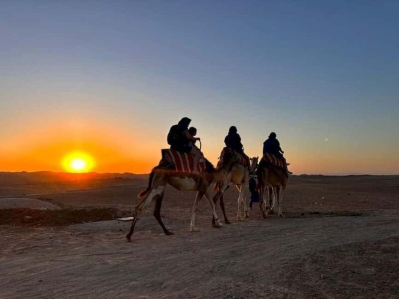 Marrakech: Agafay Desert Trip with Activities and Dinner - Practical Details and Tips