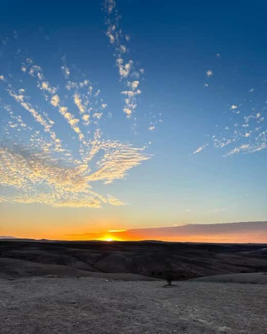 Marrakech: Agafay Desert with Dinner and Camel ride, Show - Who Would Love This Tour?