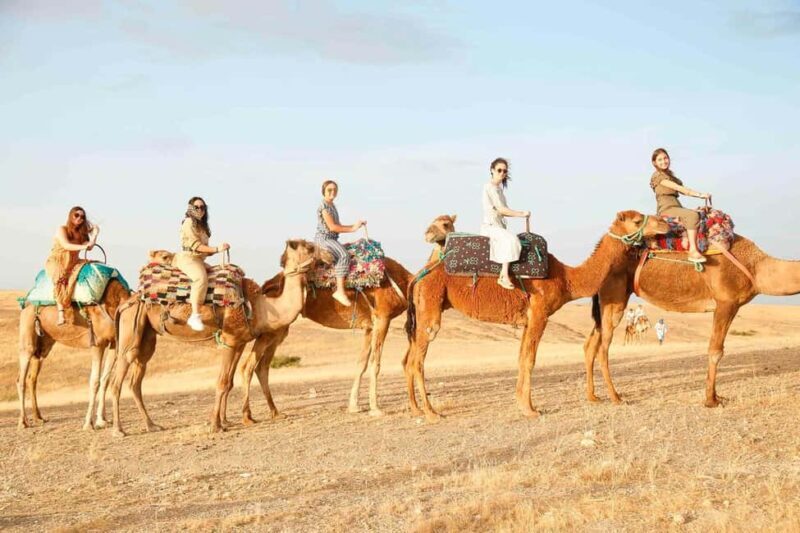 Marrakech: Agafay, Quad, Camel, Dinner, Pool, Dinner show - Key Points
