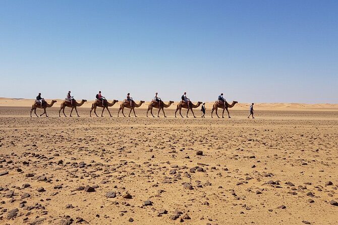 Marrakech Agfay Desert Camel Ride and Dinner Show - Sunset and Traditional Moroccan Dinner