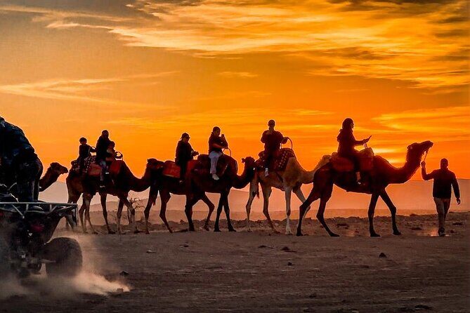 Marrakech Agfay Desert Camel Ride and Dinner Show - Practical Details and Considerations