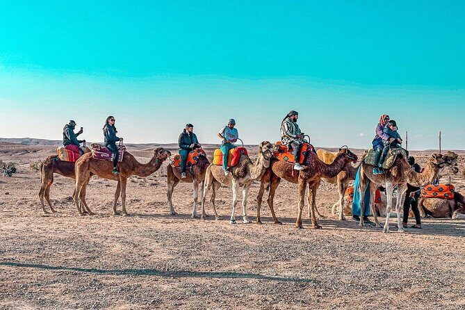 Marrakech Agfay Desert Camel Ride and Dinner Show - Authenticity and Traveler Feedback