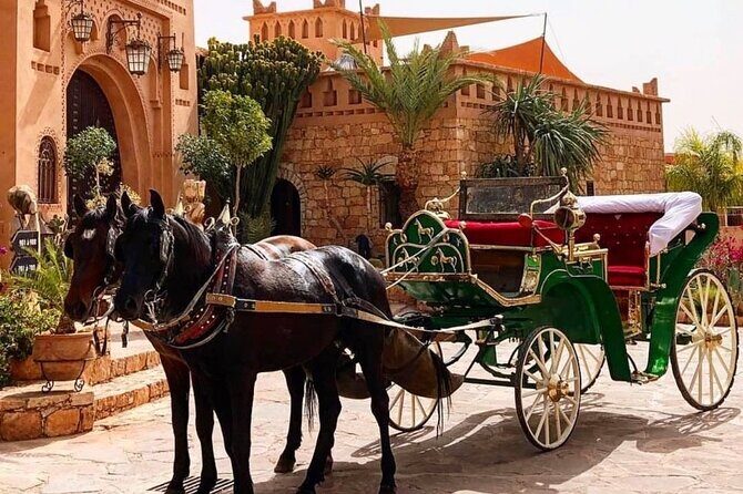 Marrakech: Agfay desert, Dinner Show & Camel ride with Quad bike - The Sum Up