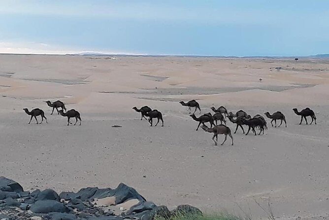 Marrakech Airport Transfers - Final Thoughts