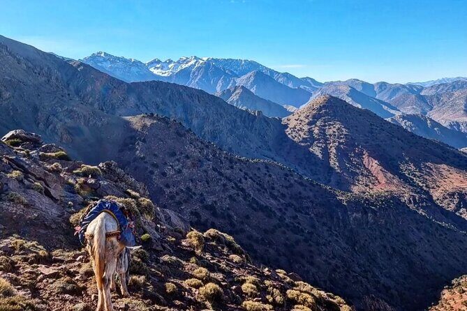 Marrakech: Ait Ben-haddou and Telouet Valley Private Day Trip - The Sum Up