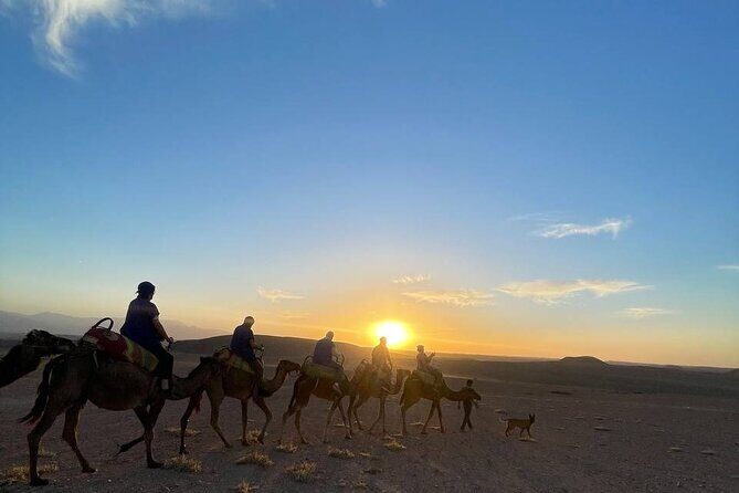 Marrakech Amazing Dinner Show in Agafay Desert, Sunset Camel Ride - An Authentic Desert Escape Near Marrakech