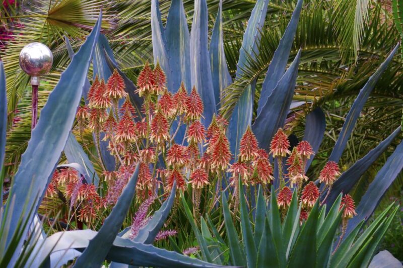 Marrakech: André Heller's ANIMA Garden Ticket - Who Would Love This Experience?  