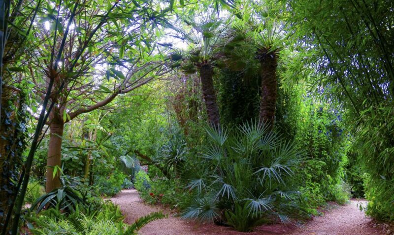 Marrakech: André Heller's ANIMA Garden Ticket - The Sum Up  
