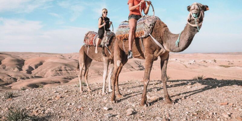 Marrakech: Atlas Adventure, Hike, Camel Ride &desert & lunch - What Makes This Tour Stand Out