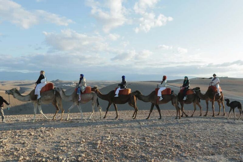 Marrakech: Atlas Adventure, Hike, Camel Ride &desert & lunch - FAQ