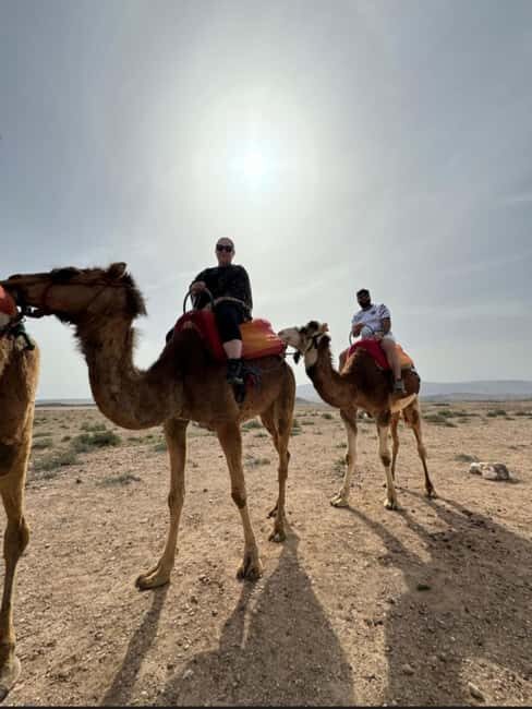 Marrakech: Atlas Mountain and Three Valleys Trip, Camel ride - The Itinerary: What to Expect