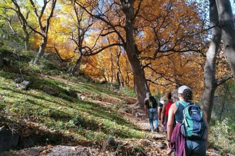 Marrakech: Atlas Mountains 3 Valleys Hike W Lunch&Waterfalls - A Scenic Escape from Marrakech