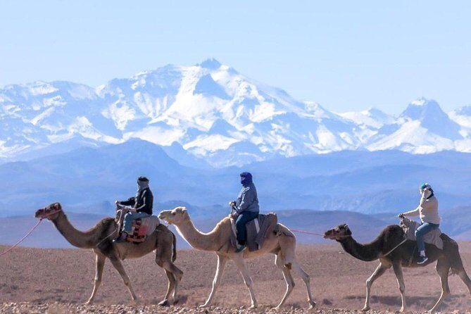 Marrakech: Atlas Mountains & 3 Valleys with waterfall Tour - Key Points