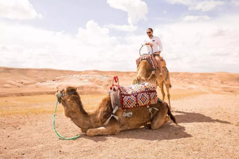 Marrakech: Atlas Mountains, Agafay Desert, Lunch, Camel Ride - A Scenic and Culturally Rich Day Out