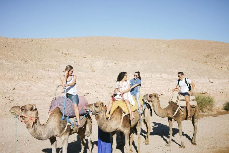 Marrakech: Atlas Mountains, Agafay Desert, Lunch, Camel Ride - The Magic of the Kik Plateau and Desert