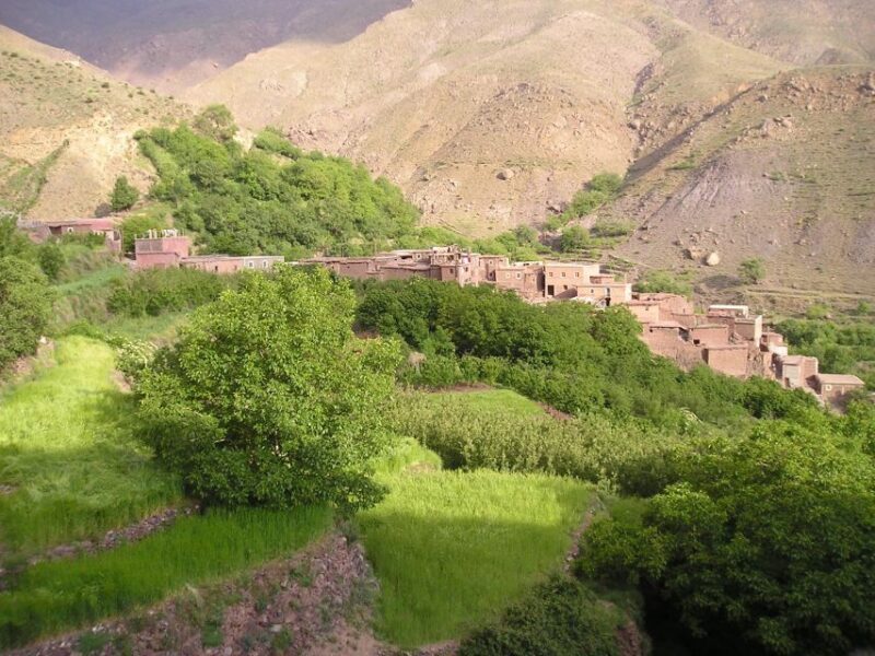 Marrakech: Atlas Mountains, Agafay Desert, Lunch, Camel Ride - Authentic Views and Sunset Moments