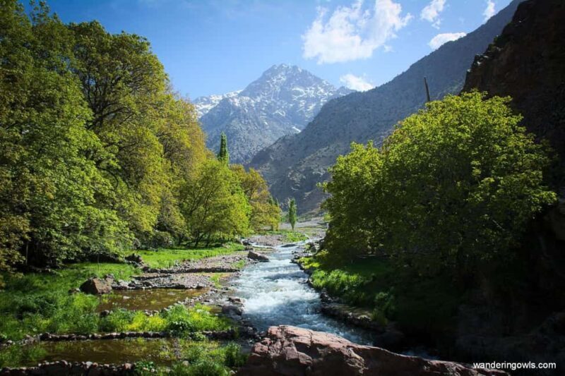 Marrakech: Atlas Mountains & Agafay Desert Tour w Camel Ride - Transportation and Comfort