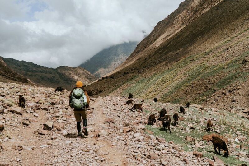 Marrakech: Atlas Mountains & Agafay Desert Tour w Camel Ride - Who Should Consider This Tour?