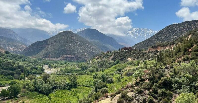 Marrakech: Atlas Mountains, Agafay Desert, Waterfall & Lunch - Marrakech: Atlas Mountains, Agafay Desert, Waterfall & Lunch – A Complete Review
