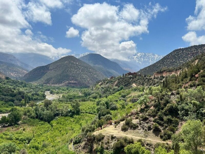 Marrakech: Atlas Mountains, Agafay Desert, Waterfall & Lunch - Possible Drawbacks and Considerations