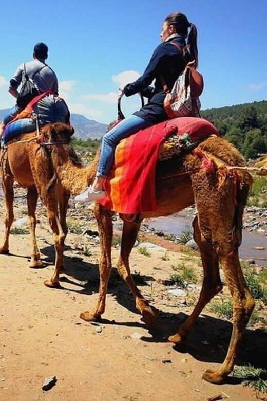Marrakech: Atlas Mountains and 4 Valleys Tour with Lunch - FAQ