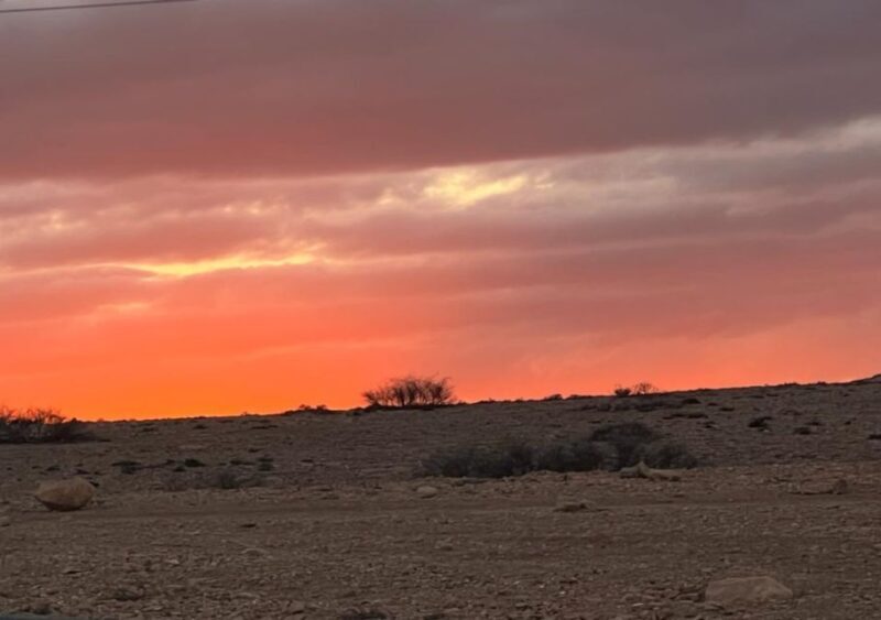 Marrakech: Atlas Mountains and Agafay Desert Trip with Lunch - An In-Depth Look at the Tour Itinerary