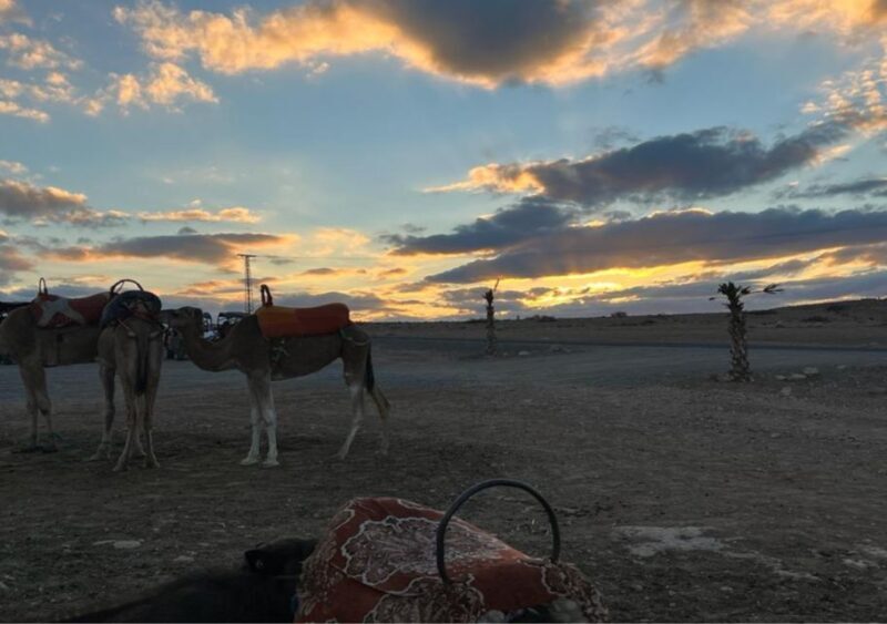 Marrakech: Atlas Mountains and Agafay Desert Trip with Lunch - FAQ