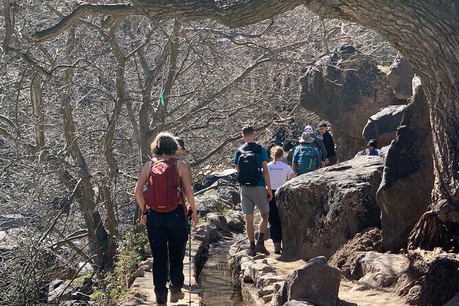 Marrakech: Atlas Mountains, Berber Villages and waterfall - Who Would Love This Tour?