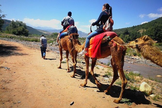 Marrakech: Atlas Mountains & Berber Villages Tour & Camel Ride - Discover the Authentic Charm of the Marrakech: Atlas Mountains & Berber Villages Tour