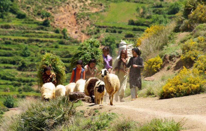 Marrakech Atlas Mountains, Berber Villages & Waterfall Tour - Key Points