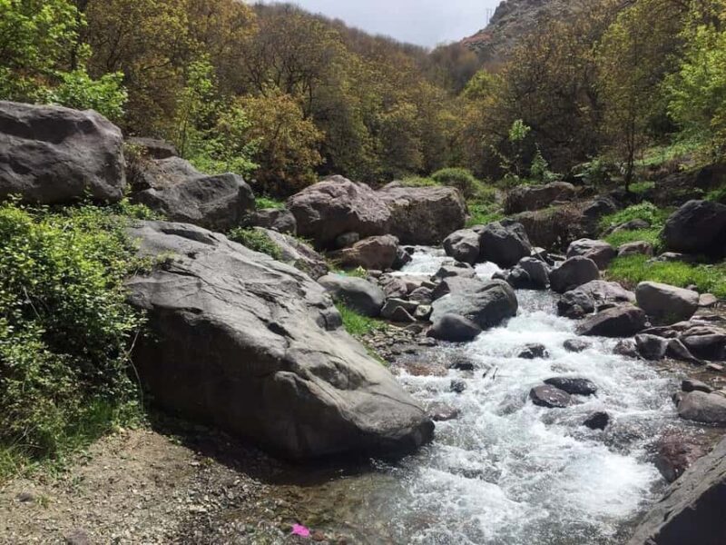 Marrakech: Atlas Mountains, Camel Ride Waterfalls & Lunch - Key Points