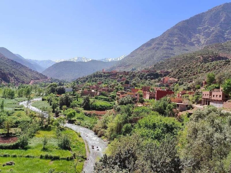 Marrakech: Atlas Mountains, Ourika Valley, Guide & Lunch - A Closer Look at the Tour Experience