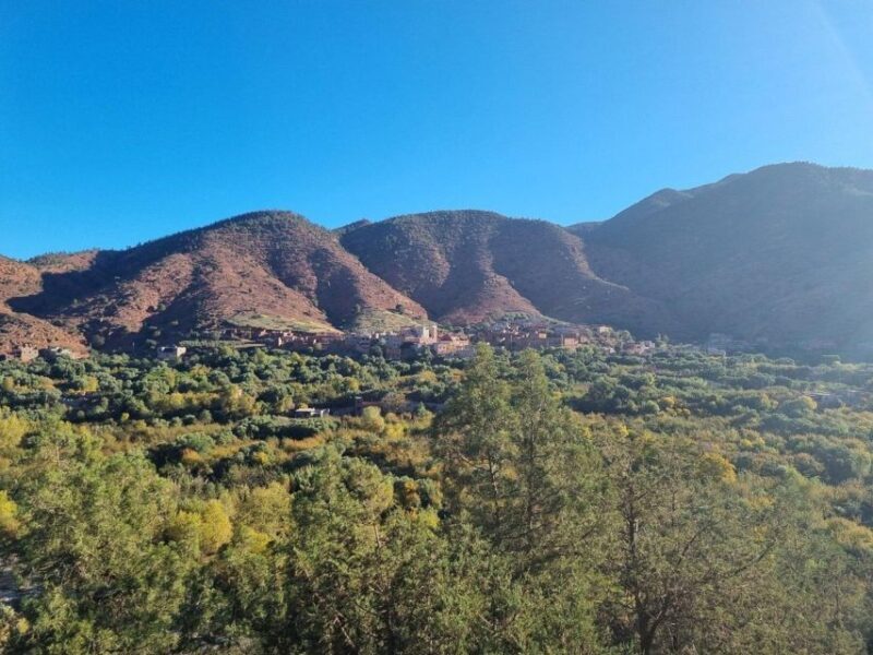 Marrakech: Atlas Mountains, Ourika Valley, Waterfall & Lunch - A Deep Dive into the Marrakech: Atlas Mountains, Ourika Valley Tour