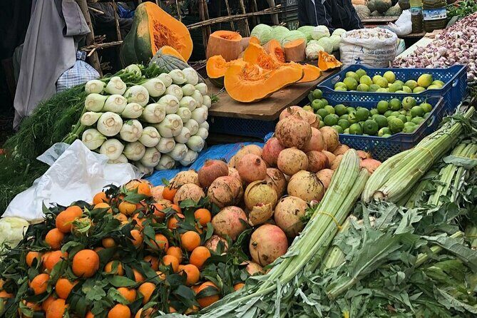 Marrakech: Atlas Mountains Tour with Camel Ride - Final Thoughts