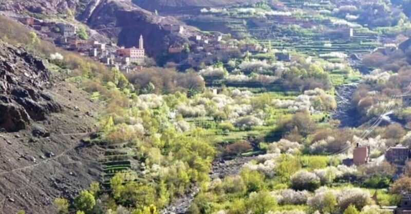 Marrakech: Atlas Mountains Tour With Lunch in Berber House - What to Expect from the Marrakech Atlas Mountains Tour