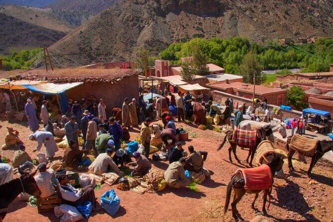 Marrakech: Atlas Mountains & Villages, Waterfalls, Camel Ride - Who Should Consider This Tour?