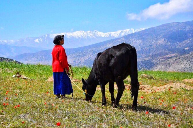 Marrakech: Atlas Mountains & Villages, Waterfalls, Camel Ride - The Sum Up