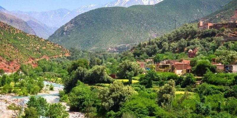 Marrakech: Atlas Mountains, Waterfalls, Ourika Valley +Lunch - An In-Depth Look at What You Can Expect