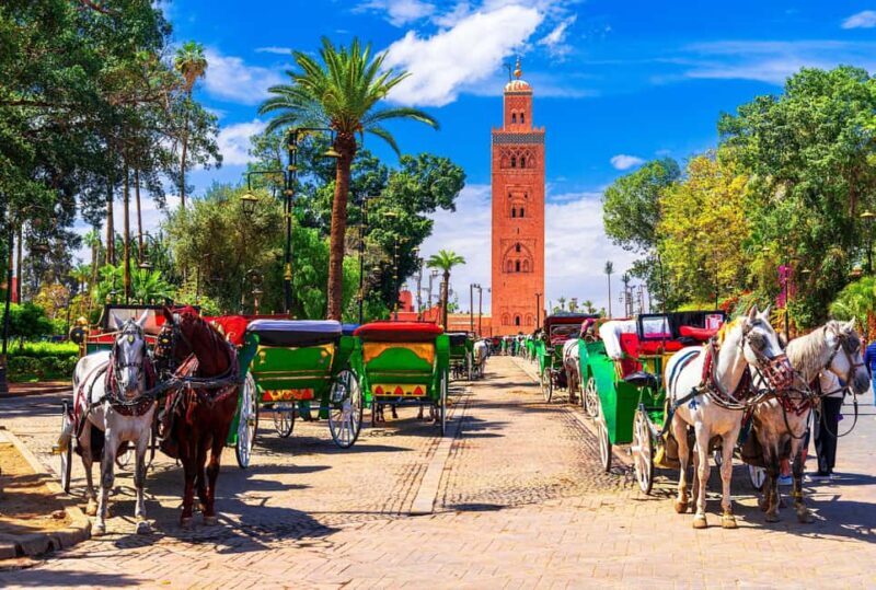 Marrakech: Bahia Palace, Madrasa Ben Youssef & Secret Garden - An In-Depth Look at the Marrakech Tour Experience