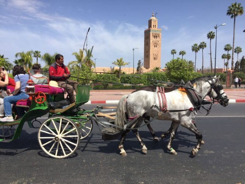 Marrakech: Bahia Palace, Saadian Tombs, & Koutoubia Mosque - Djemaa el-Fna Square: The Heart of Marrakech