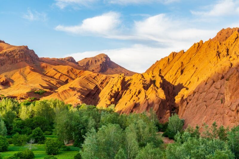 Marrakech: Berber Culture Experience & Atlas Mountains Tour - Marrakech: Berber Culture Experience & Atlas Mountains Tour — An Authentic Day Out
