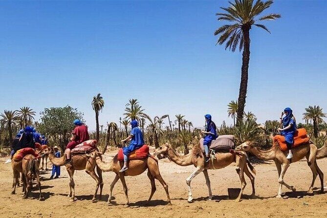 Marrakech Best Day Trip from Casablanca - Frequently Asked Questions